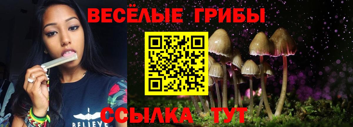 Галлюциногенные грибы Cubensis Гай