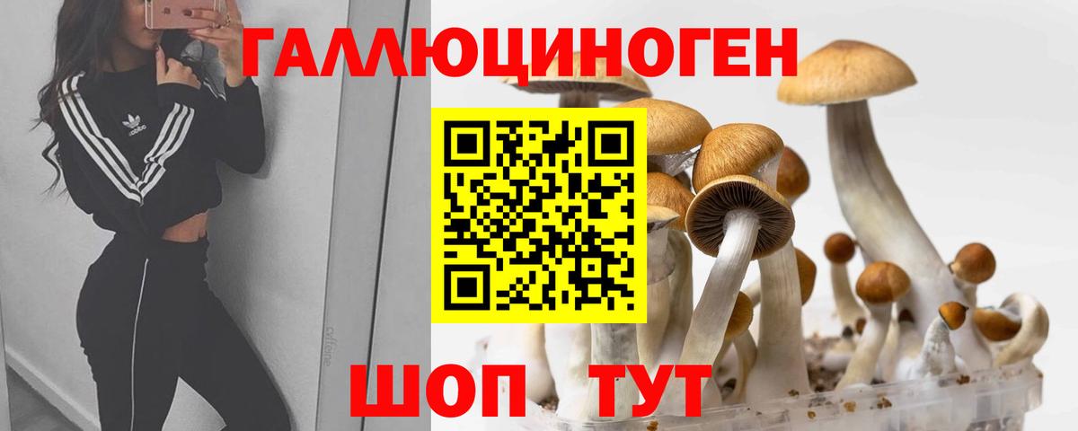 Галлюциногенные грибы Psilocybine cubensis  Вход с VPN  Гай 